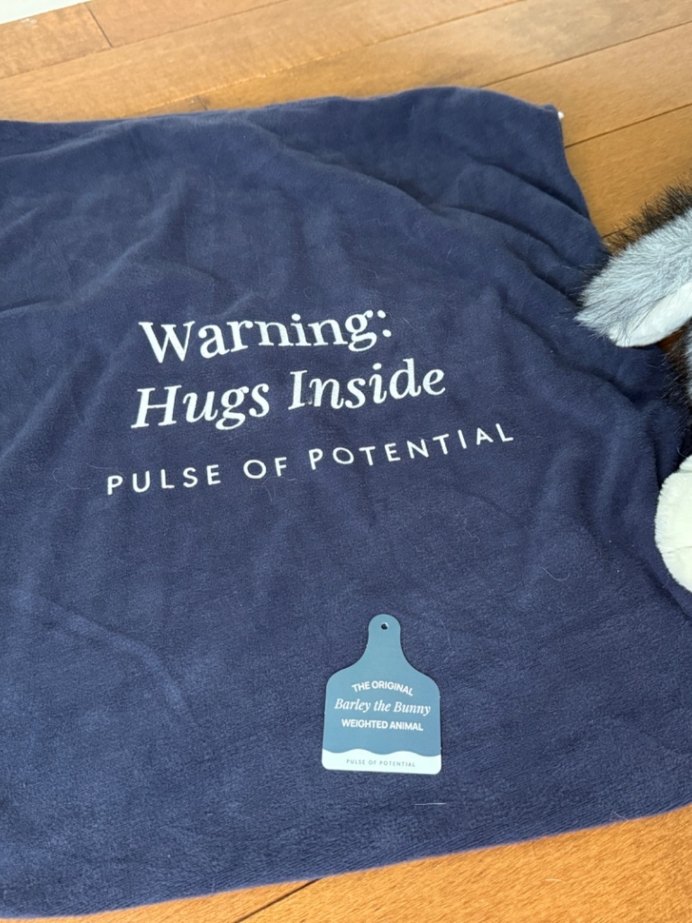 Pulse of Potential - Barley the Bunny (Weighted Plush) - Picture 3 of 5